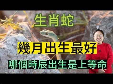 男仔名香港 2025蛇寶寶